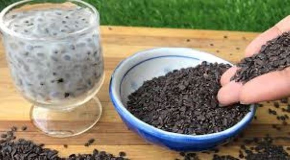 Pakistani Tokma Dana / Basil Seed/ Pakisthani Tokma- 100 gm